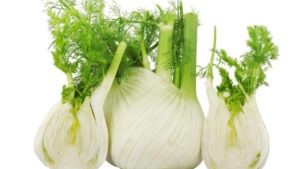 finocchio appena raccolto