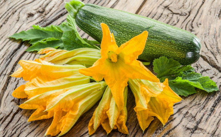  ALLA SCOPERTA DELLA VERDURA…I FIORI DI ZUCCHINA