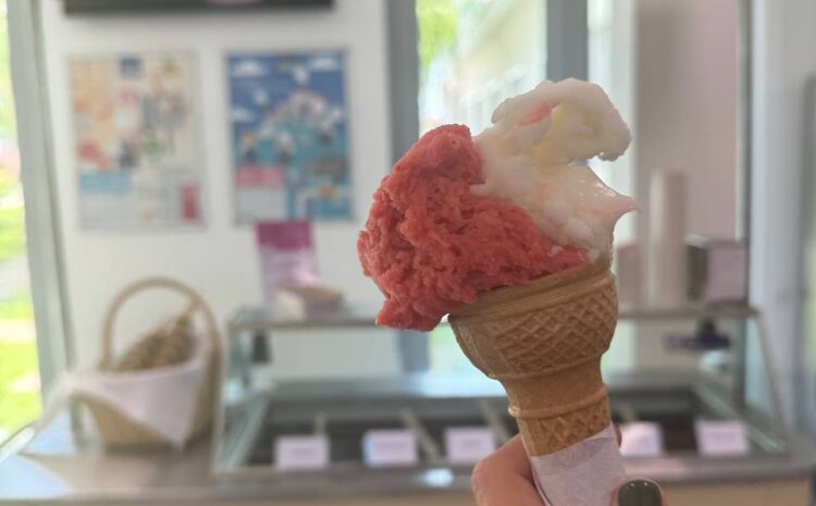  Delizie di SIR: Ice Cream Edition 2025